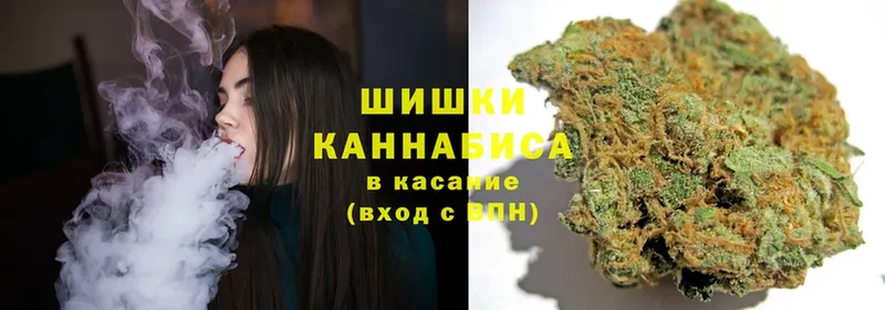 Бошки марихуана White Widow  купить закладку  гидра зеркало  Карачев 